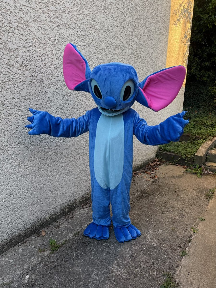Costume Stitch — location anniversaire OKevent